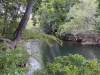 13640 Bruce Highway, Gregory River, Qld 4800-Image