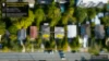 137-139 Mount Gravatt Capalaba Road, Upper Mount Gravatt, Qld 4122-Image