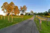 137-141 Myrtle Road, Jimboomba, Qld 4280-Image