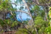 137 Burri Road, Malua Bay, NSW 2536-Image