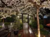 137 Emu Bay Road, Deloraine, Tas 7304-Image