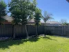 137 Inverell Parkway, Tarneit, Vic 3029-Image