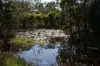137 Josefski Road, Agnes Water QLD 4677-Image