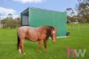 137 Morgan Road, Inverleigh, Vic 3321-Image