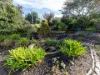 137 Scamander Avenue, Scamander, Tas 7215-Image