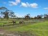 1370 Baxter-Tooradin Road, Cannons Creek, Vic 3977-Image