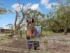 1370 Baxter-Tooradin Road, Cannons Creek, Vic 3977-Image