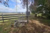 1370 New England Highway, Aberdeen, NSW 2336-Image