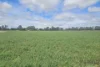 1370 New England Highway, Aberdeen, NSW 2336-Image
