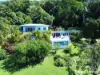 1373 Mossman-Daintree Road, Rocky Point, Qld 4873
