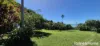 1373 Mossman-Daintree Road, Rocky Point, Qld 4873-Image