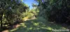 1373 Mossman-Daintree Road, Rocky Point, Qld 4873-Image