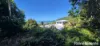 1373 Mossman-Daintree Road, Rocky Point, Qld 4873-Image