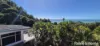 1373 Mossman-Daintree Road, Rocky Point, Qld 4873-Image