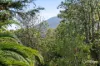 1375 Mountain Highway, The Basin, Vic 3154-Image