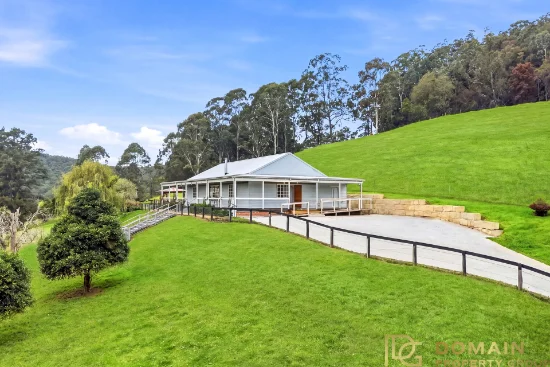 1376 Yarramalong Road, Yarramalong, NSW 2259