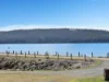 138 Bradys Lake Road, Bradys Lake, Tas 7140-Image