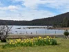 138 Bradys Lake Road, Bradys Lake, Tas 7140-Image