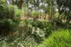 138 Bridge Road, Bushfield, Vic 3281-Image