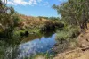 138 Bridge Road, Bushfield, Vic 3281-Image