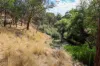 138 Bridge Road, Bushfield, Vic 3281-Image