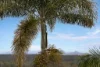 138 Fernvale Road, Brassall, Qld 4305-Image