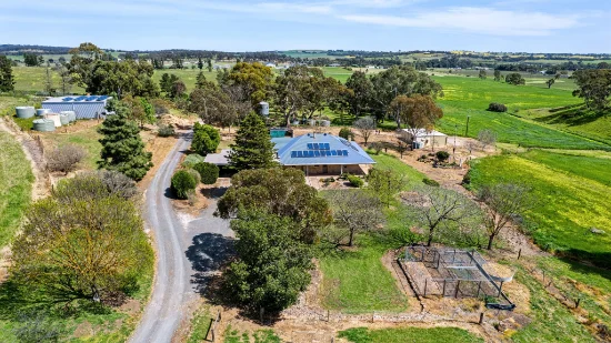 138 Gaelic Cemetery Road, Stanley Flat, SA 5453