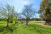 138 Gaelic Cemetery Road, Stanley Flat, SA 5453-Image