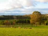 138 Gaelic Cemetery Road, Stanley Flat, SA 5453-Image