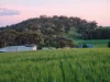 138 Gaelic Cemetery Road, Stanley Flat, SA 5453-Image