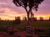 138 Gaelic Cemetery Road, Stanley Flat, SA 5453-Image