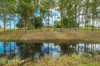 138 Goldburg Road, North Deep Creek, Qld 4570-Image