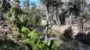 138 GREENBAH RD, Moree, NSW 2400-Image