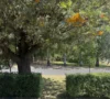 138 Gwydir Street, Moree, NSW 2400-Image
