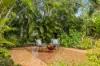 138 Hyde Road, Yeronga, Qld 4104-Image