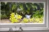 138 Hyde Road, Yeronga, Qld 4104-Image
