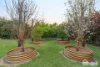 138 Lefroy Street, Serpentine, WA 6125-Image