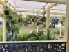 138 Munro Street, Ayr, Qld 4807-Image