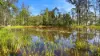 138 Seelands Hall Road, Seelands, NSW 2460-Image