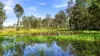 138 Seelands Hall Road, Seelands, NSW 2460-Image