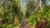 138 Seelands Hall Road, Seelands, NSW 2460-Image