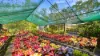 138 Seelands Hall Road, Seelands, NSW 2460-Image