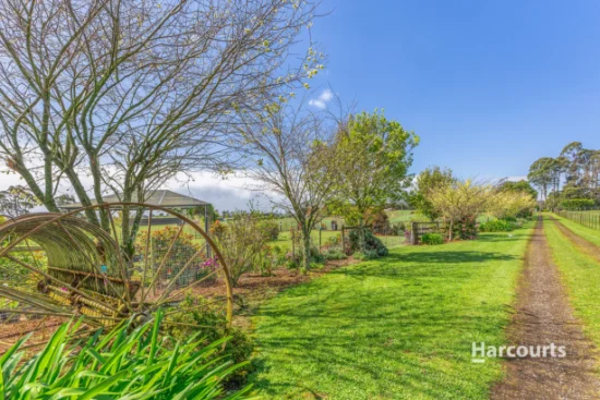 1384 Ridgley Highway, Highclere, Tas 7321