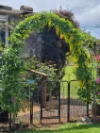 1384 Ridgley Highway, Highclere, Tas 7321-Image