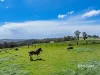 1384 Ridgley Highway, Highclere, Tas 7321-Image