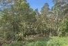 139-141 MacDonnell Road, Tamborine Mountain, Qld 4272-Image