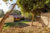 139 Frederick Street, Ashfield, NSW 2131-Image