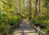 139 Metz Road, Old Bar, NSW 2430-Image