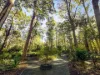139 Metz Road, Old Bar, NSW 2430-Image