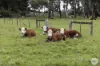 139 Pound Creek Road, Navigators, Vic 3352-Image